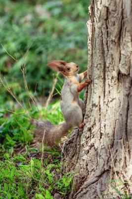 Прикрепленное изображение: 20130421_11-48-20_IMG_7501.jpg